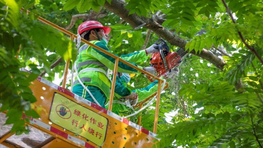 生态绿化工程采购方案范本